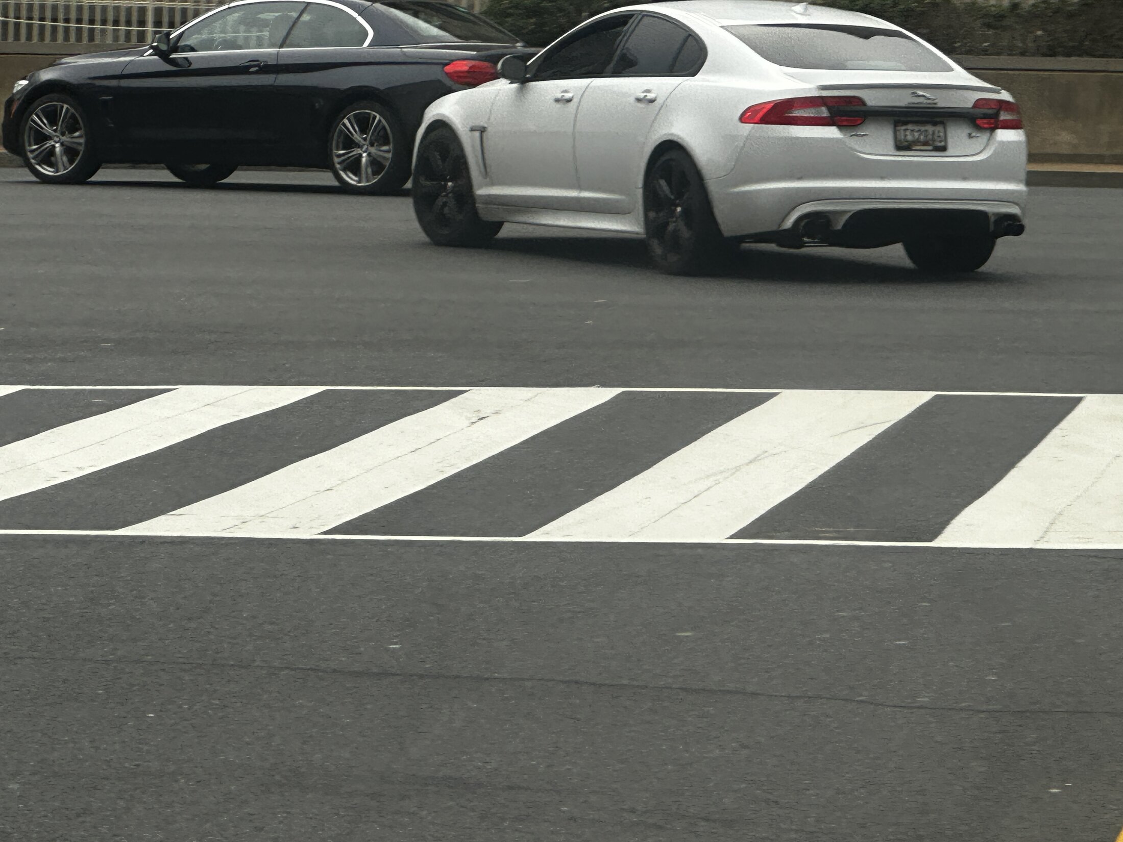 IMG_1983.jpeg