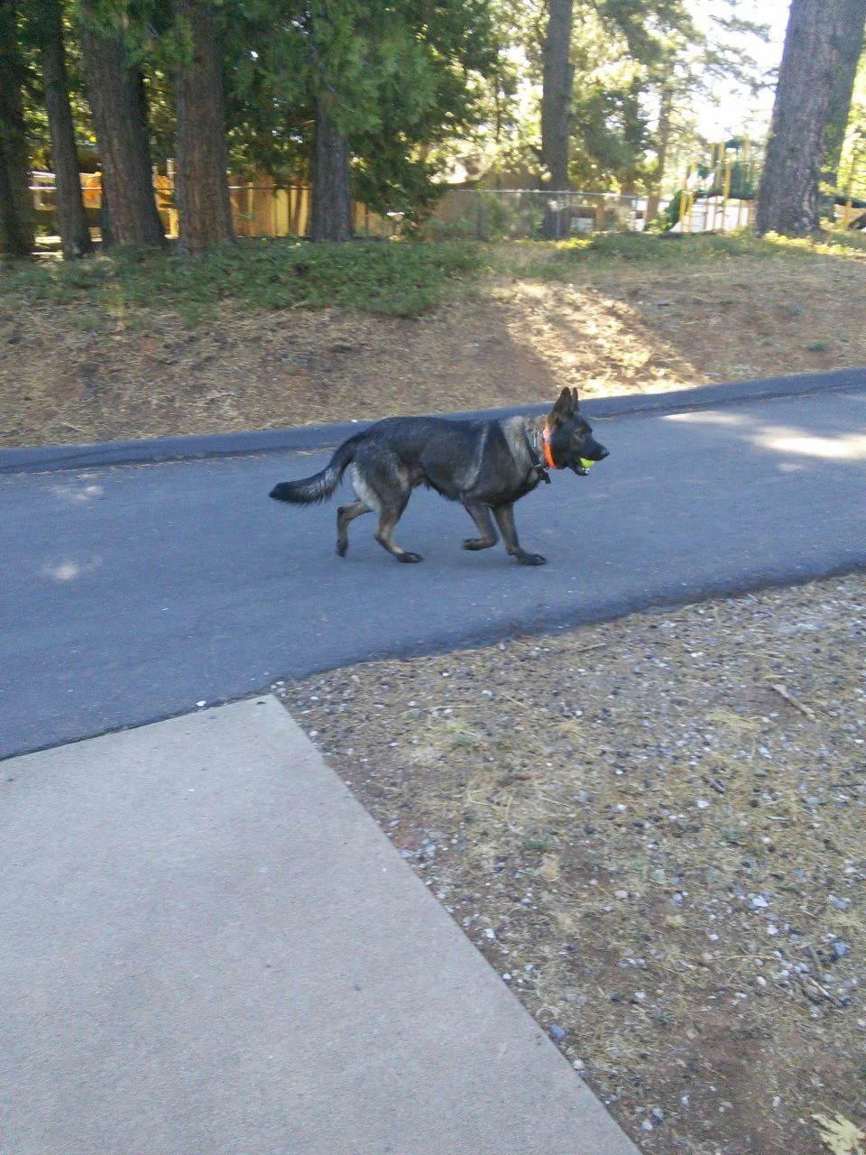 IMG_20140816_090445.webp