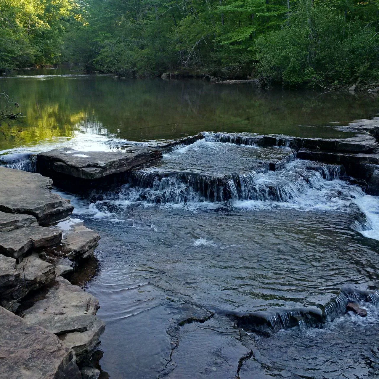 IMG_20150501_184219_hdr.webp