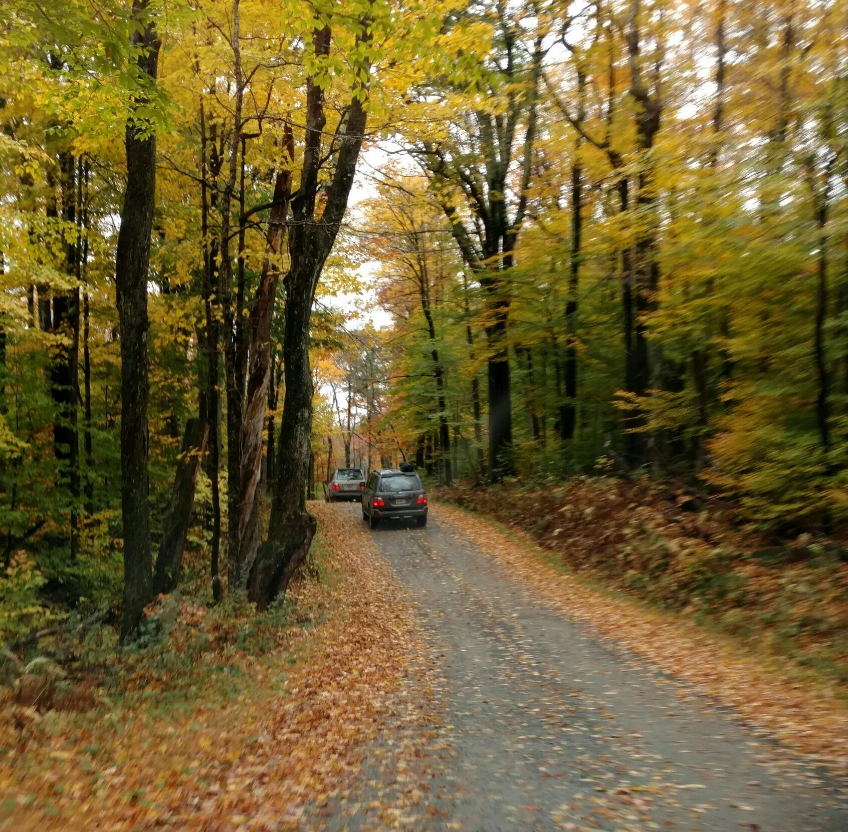 IMG_20161022_141104790-1-1692x1661.webp