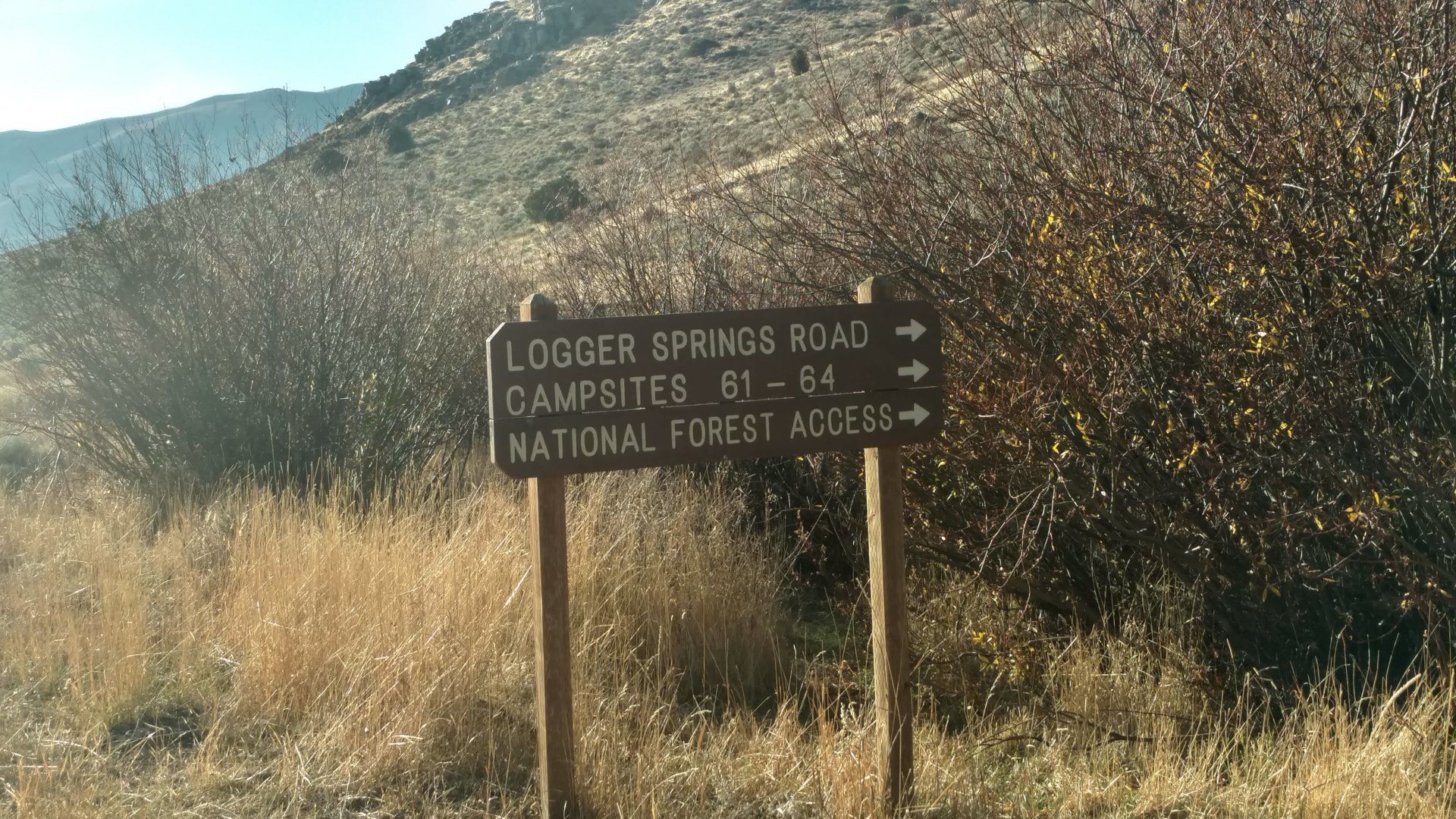 IMG_20171027_164529896_HDR.jpg