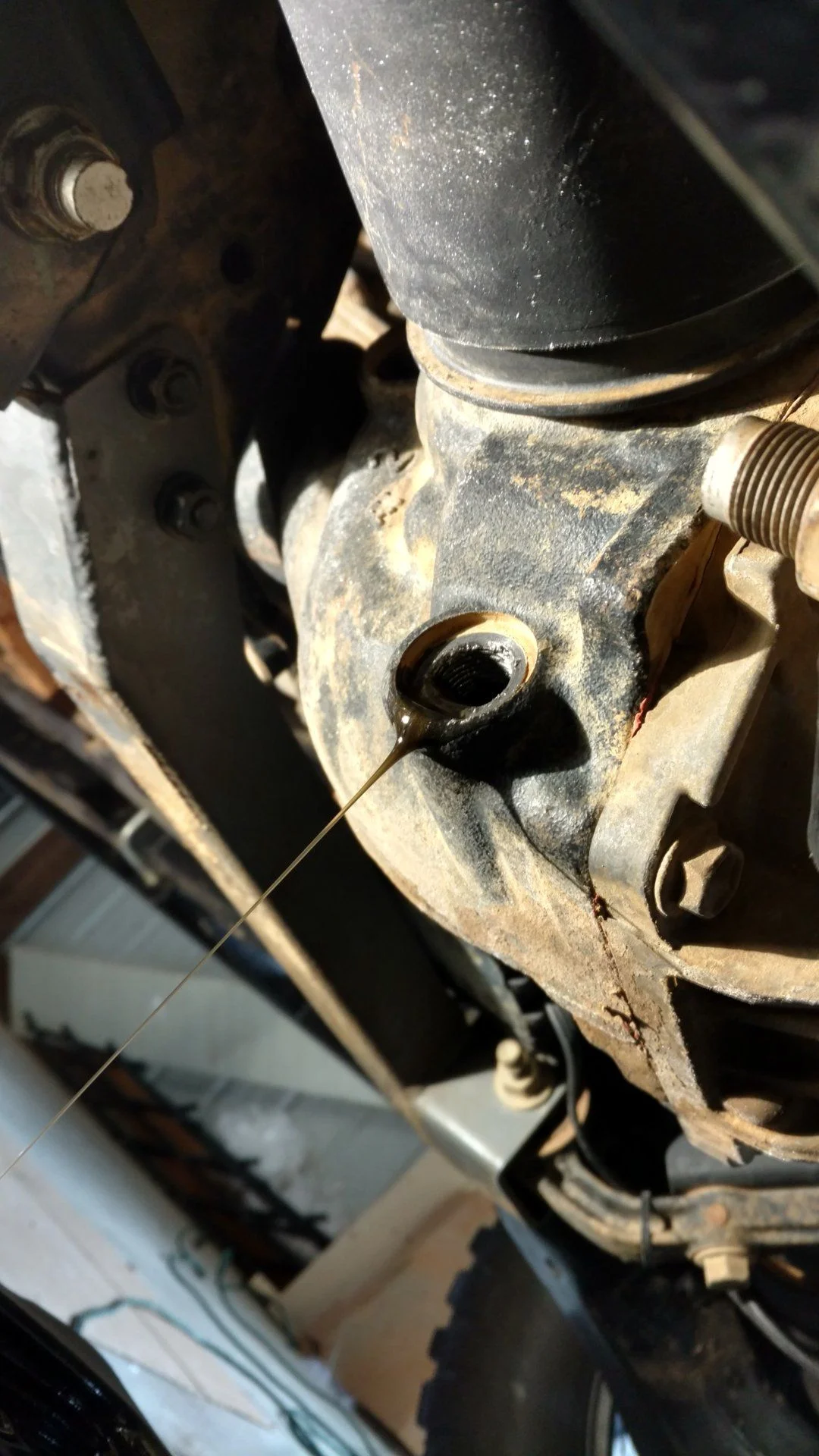IMG_20180113_133951282_HDR.webp
