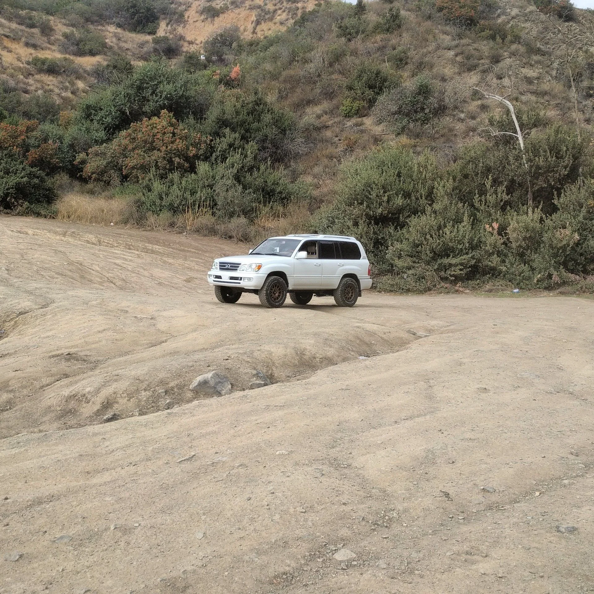 IMG_20180119_145034_407.webp