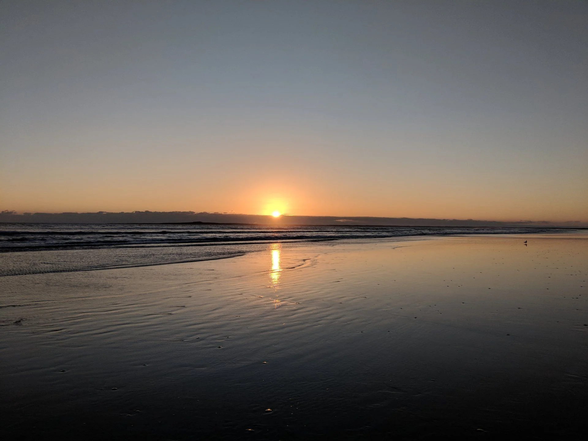 IMG_20180220_172921.webp