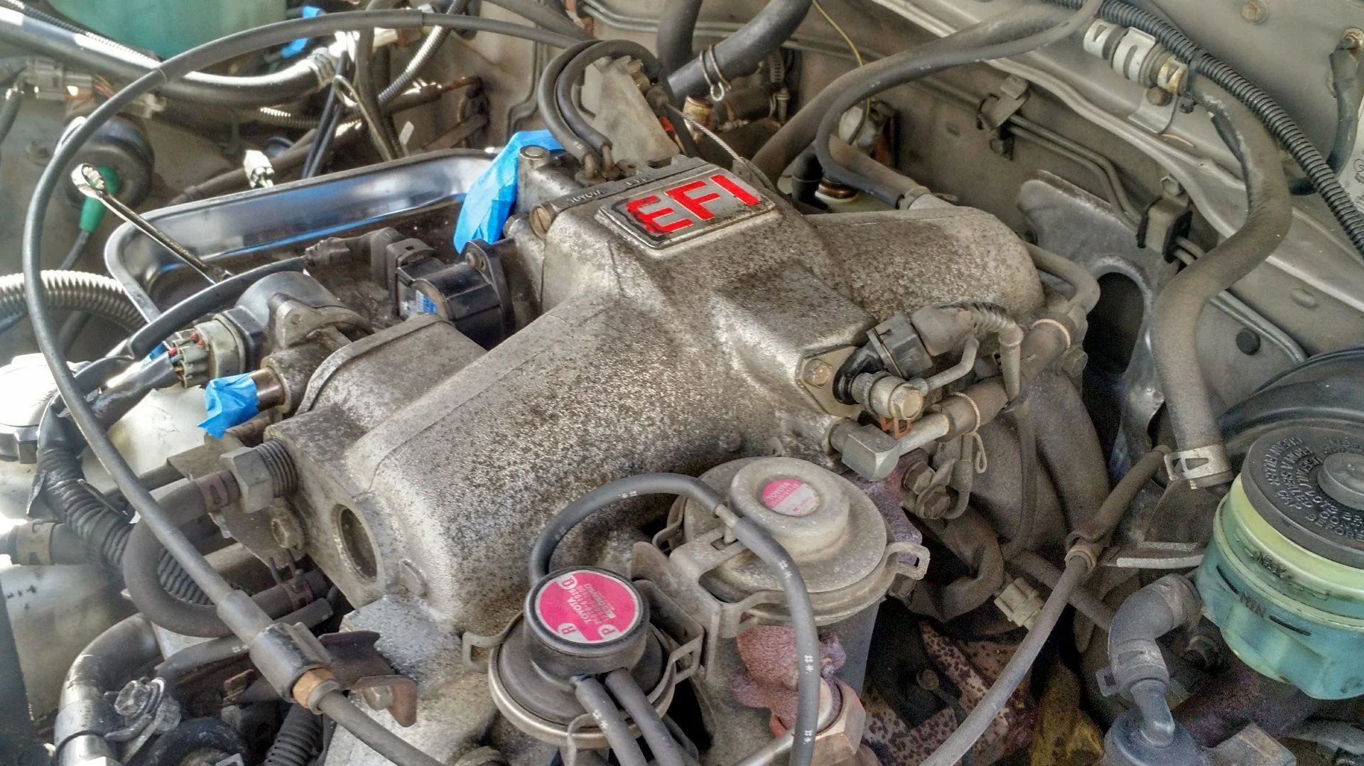 IMG_20180421_092815231_HDR.webp