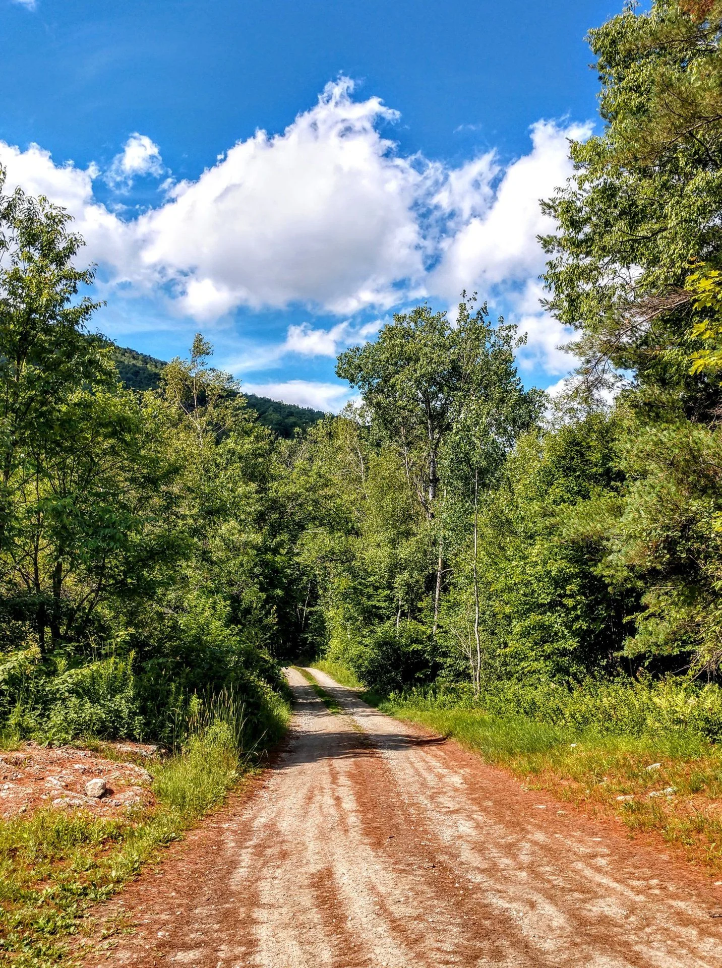 IMG_20180721_101415007_HDR.webp