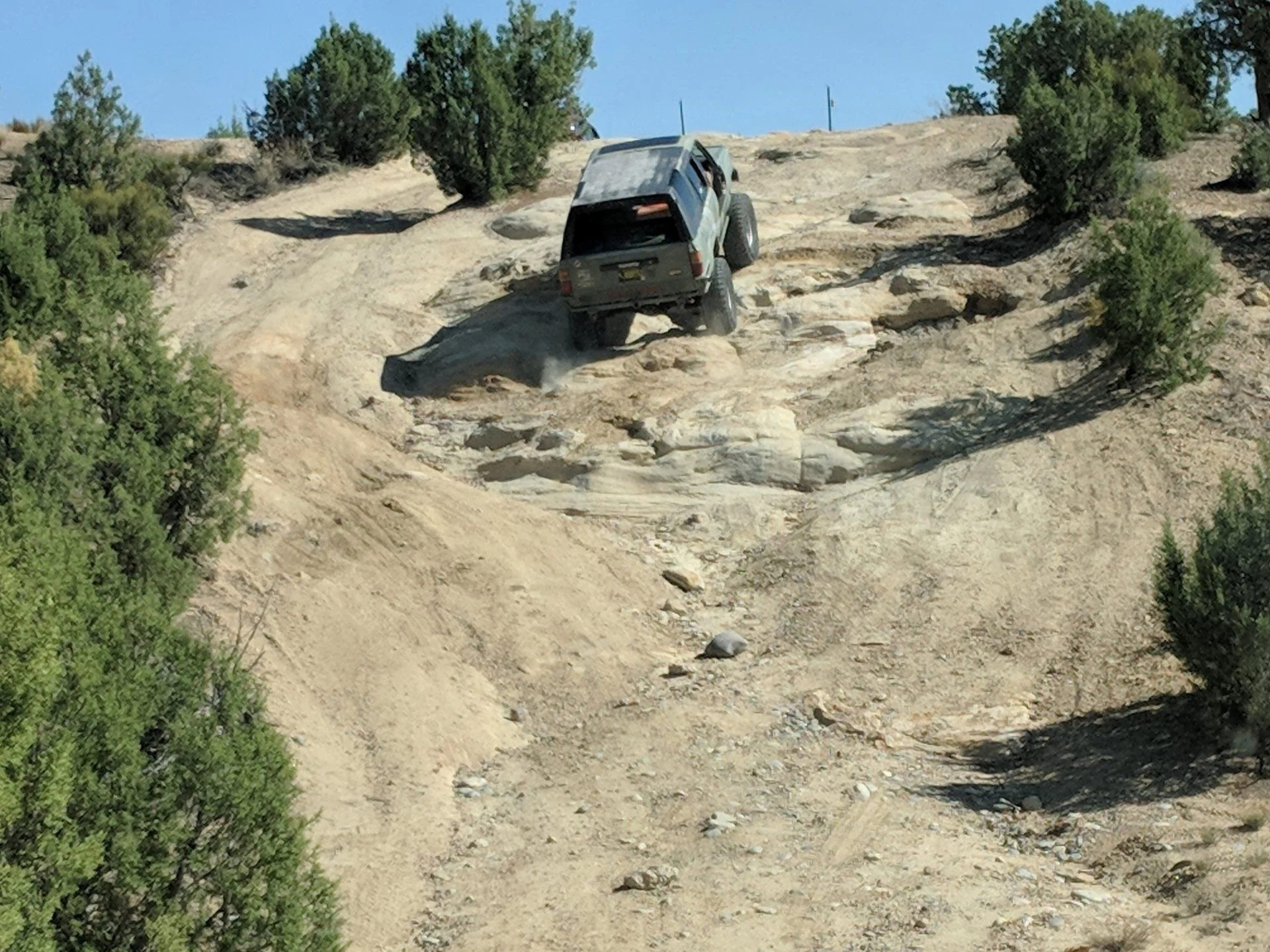 IMG_20180722_095442.webp