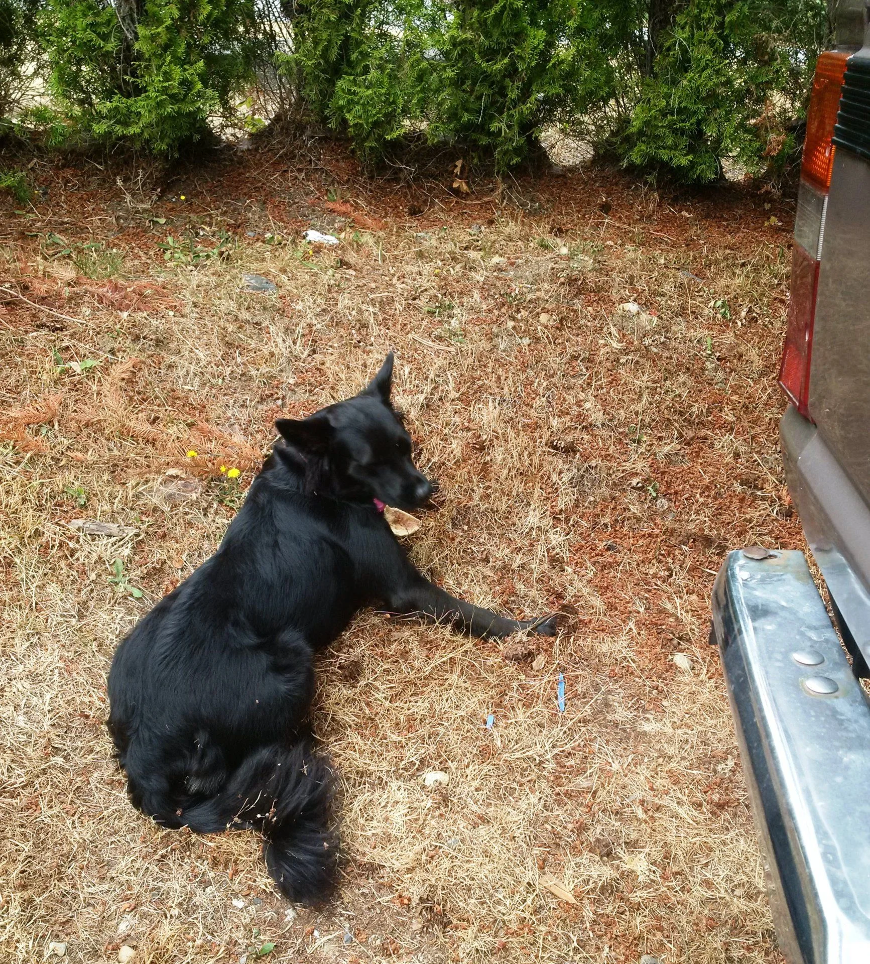 IMG_20180803_101109.webp