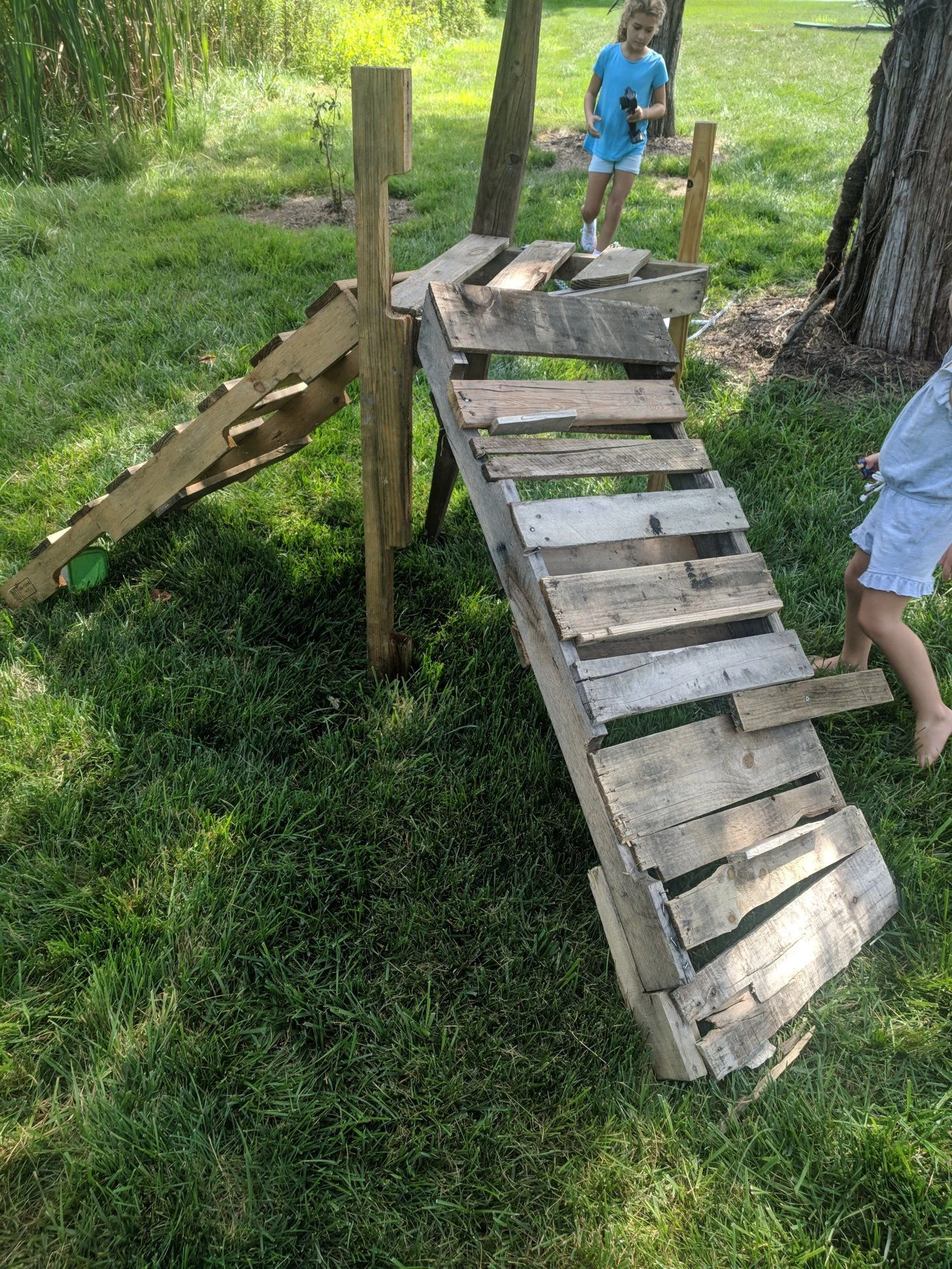 IMG_20180819_150626.webp