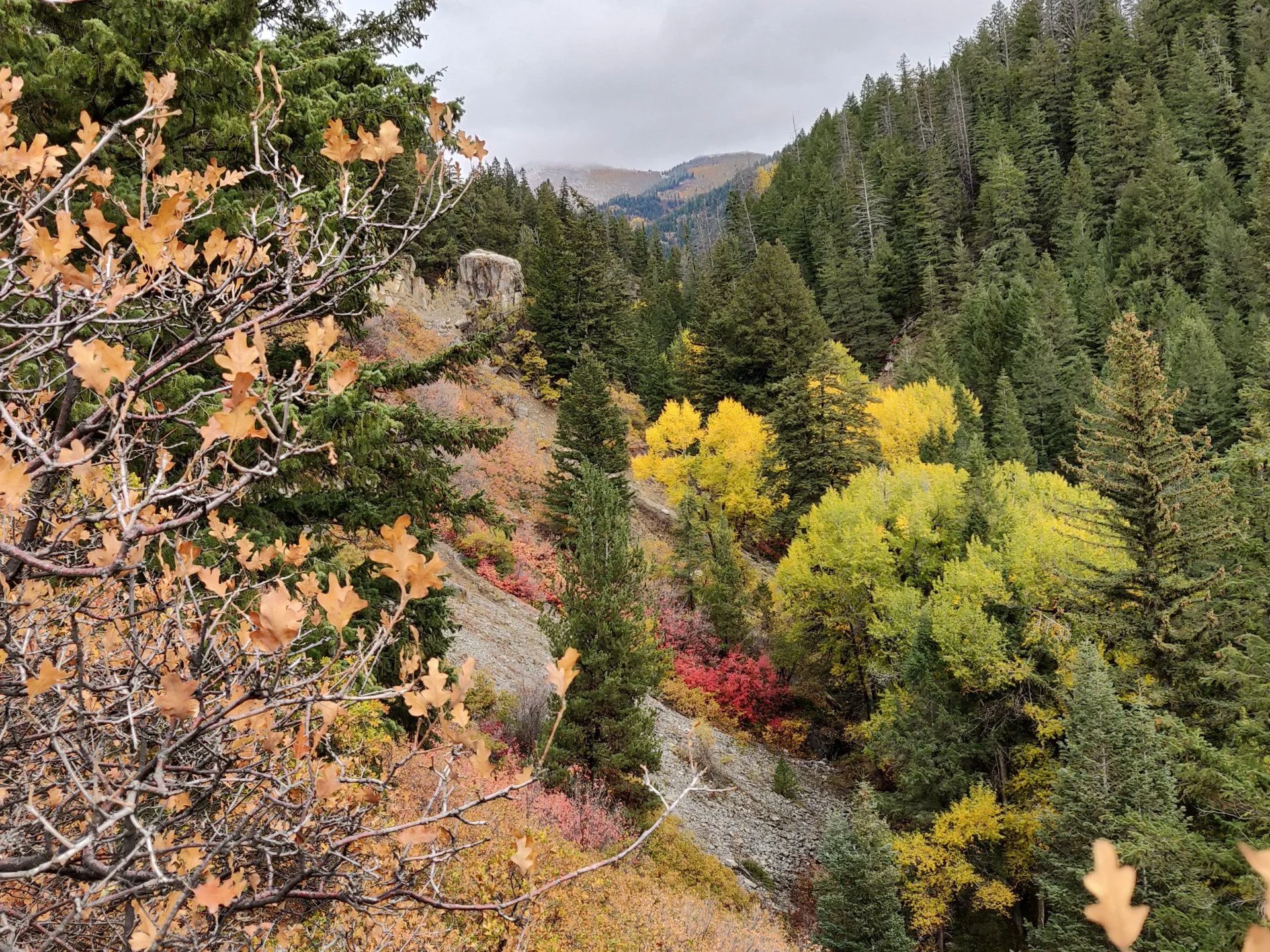 IMG_20181007_142441.webp