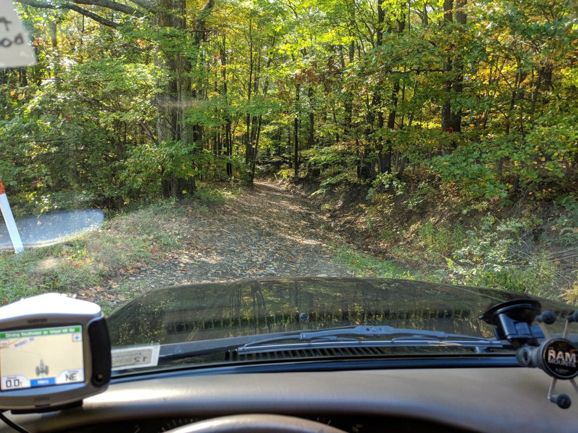 IMG_20181013_153943.webp