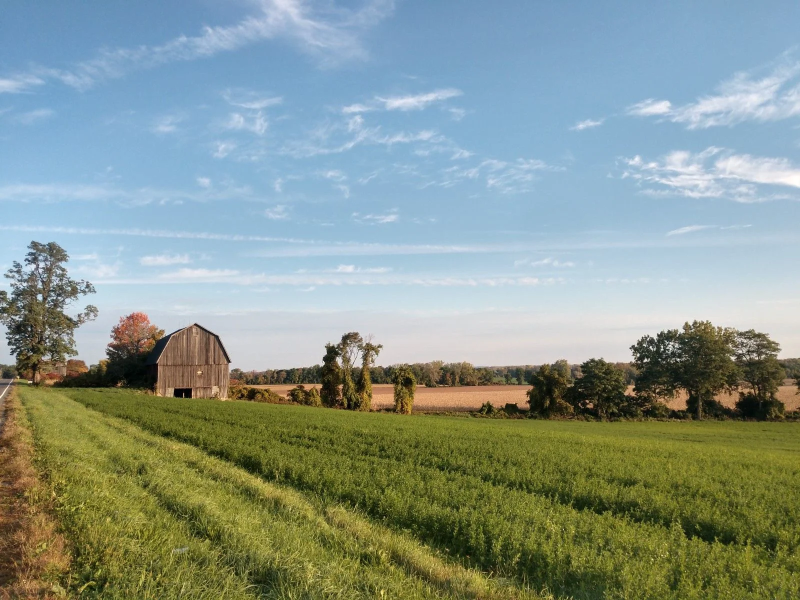 IMG_20181014_082538081_HDR.webp