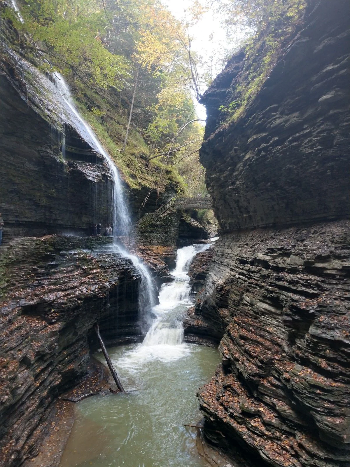 IMG_20181014_113428311_HDR.webp