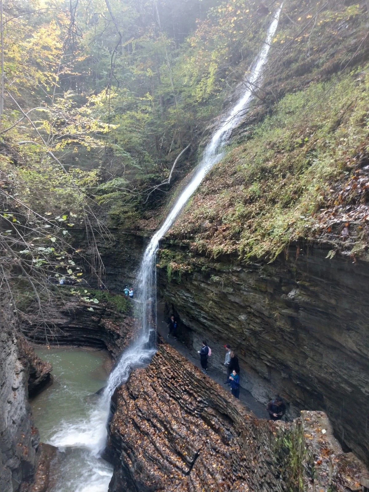 IMG_20181014_113709823_HDR.webp