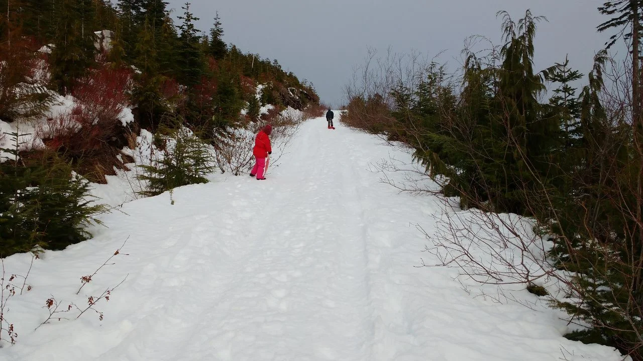 IMG_20190101_135753667.webp