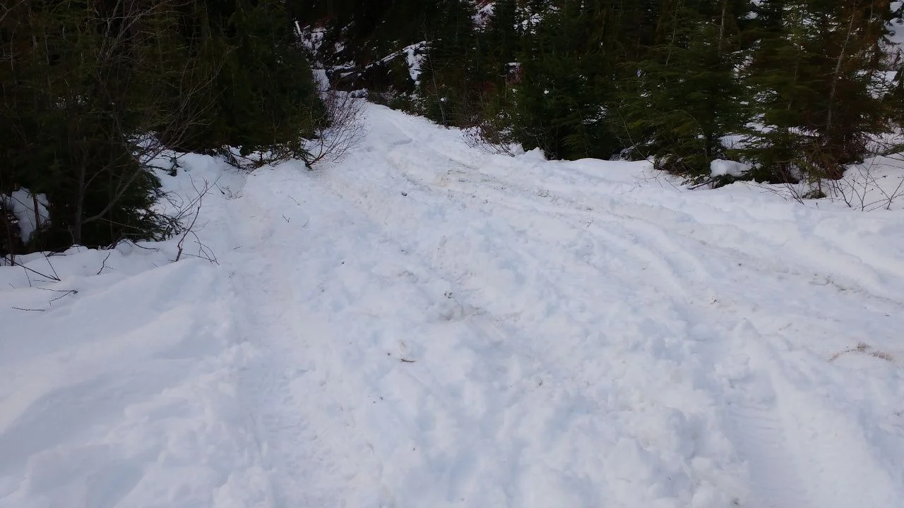 IMG_20190101_144932771.webp