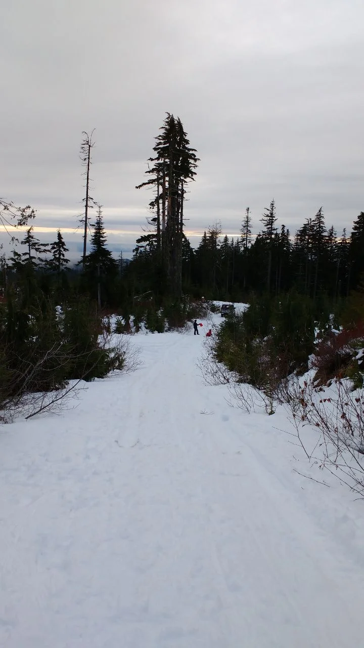 IMG_20190101_150213673.webp