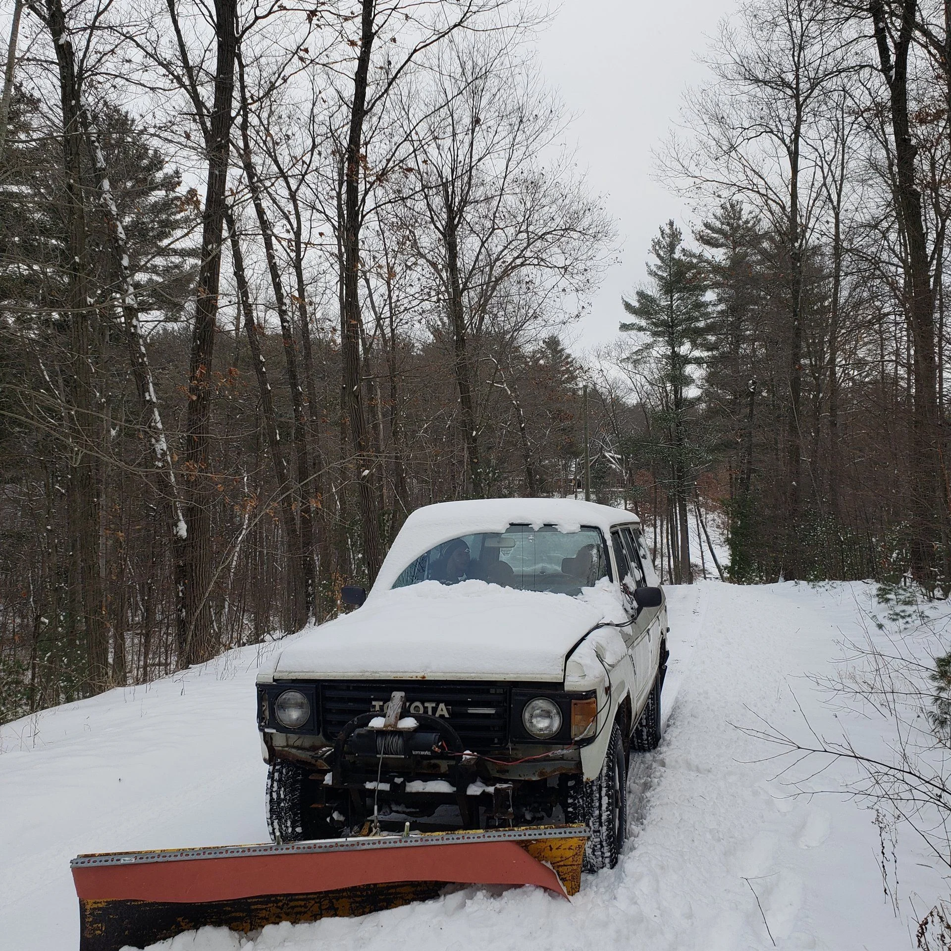 IMG_20190119_180337_547.webp