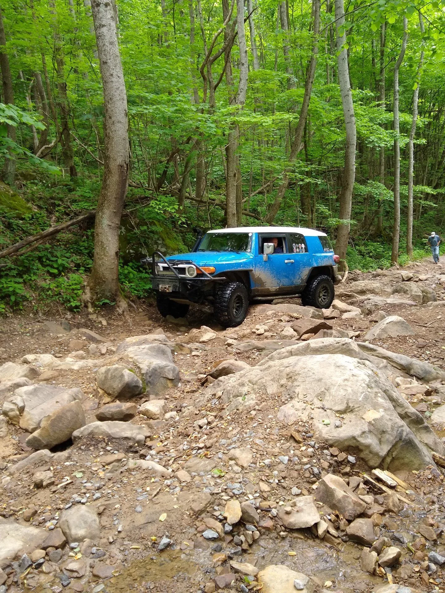 IMG_20190515_154605038.webp