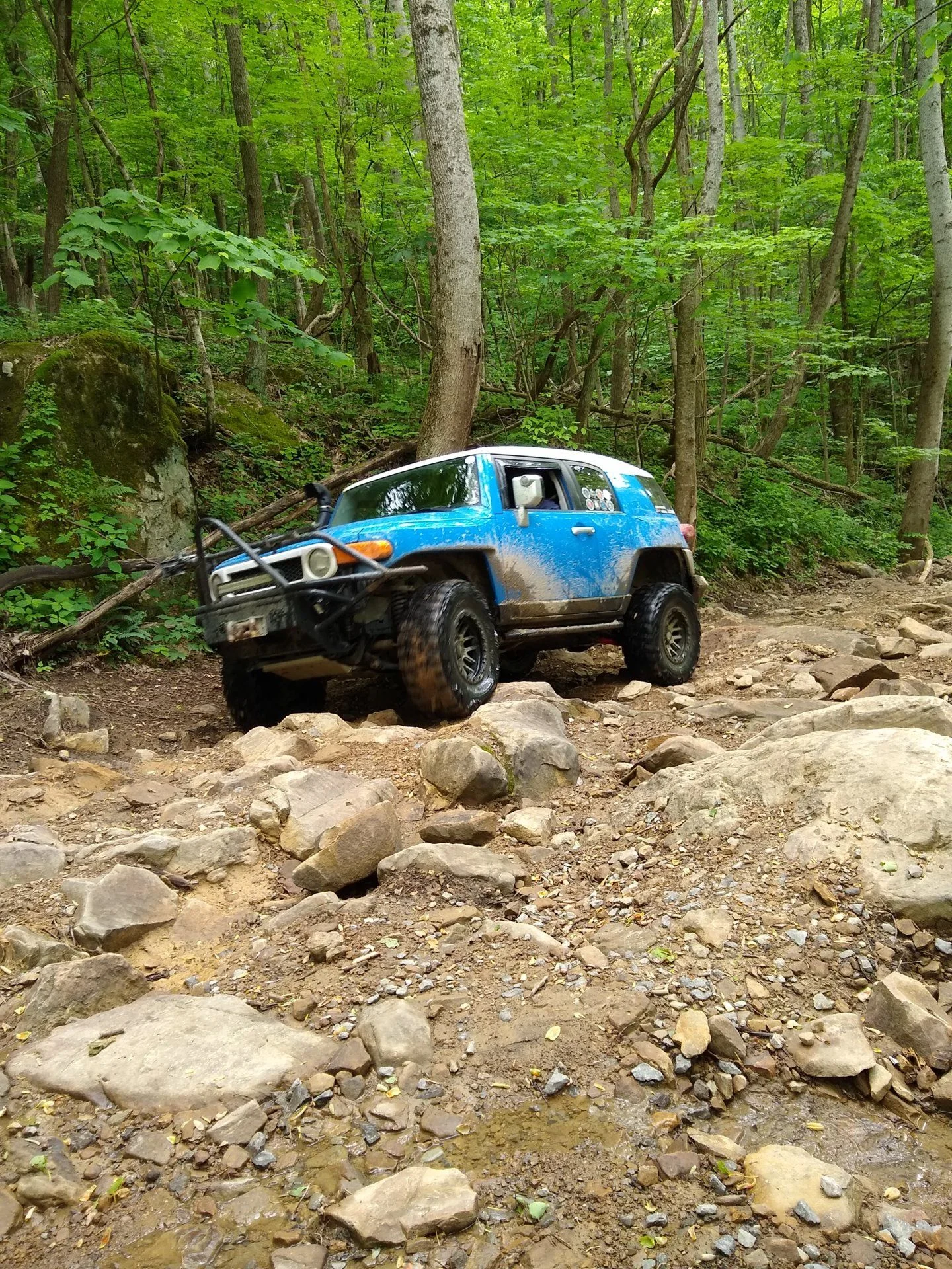 IMG_20190515_154615290.webp
