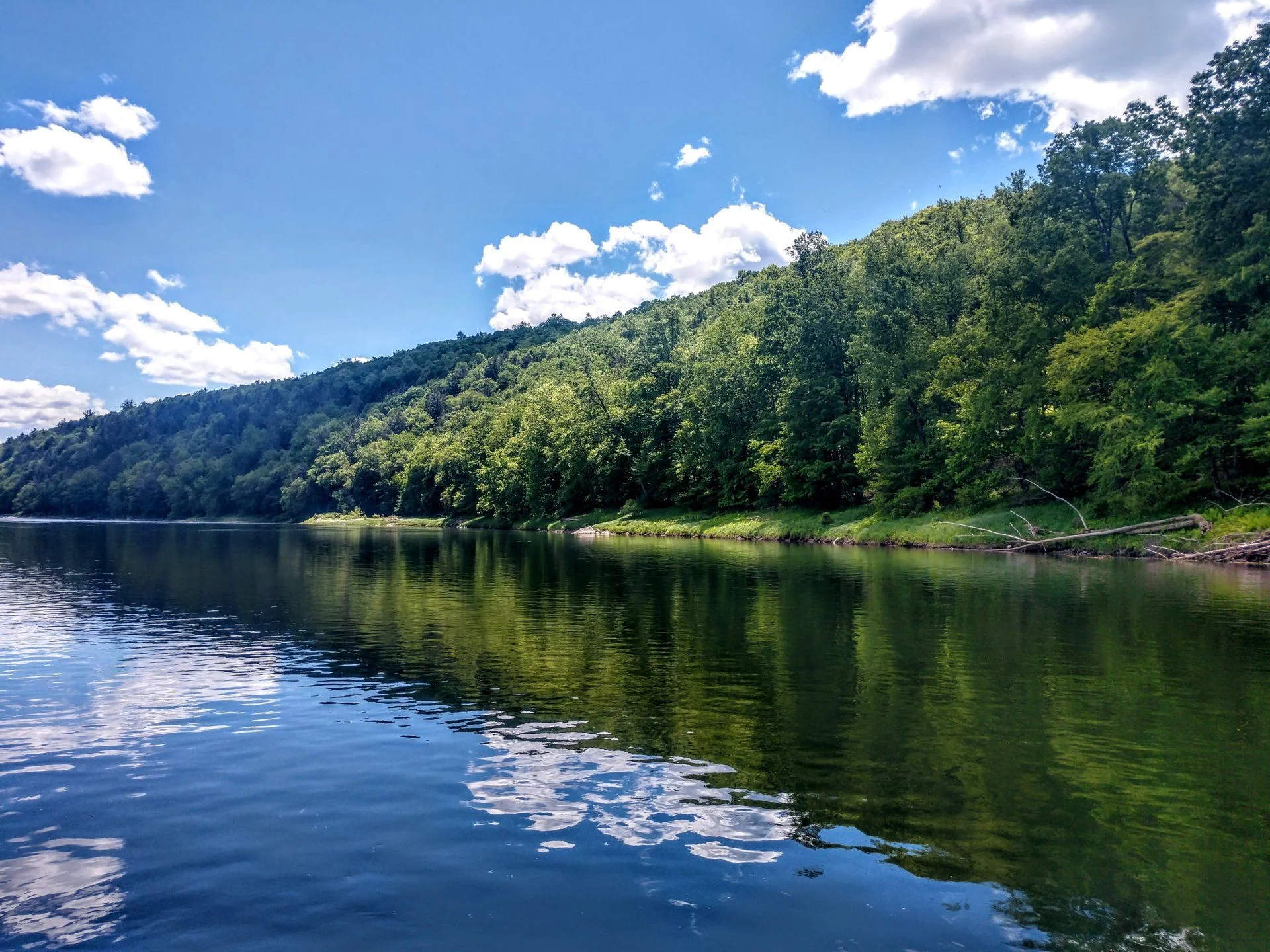 IMG_20190527_125353431_HDR.webp