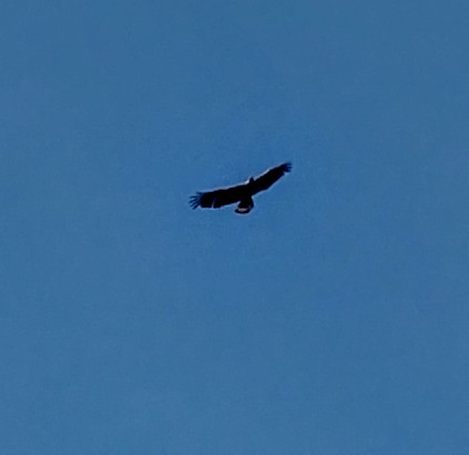 IMG_20190527_145921324_HDR.jpg