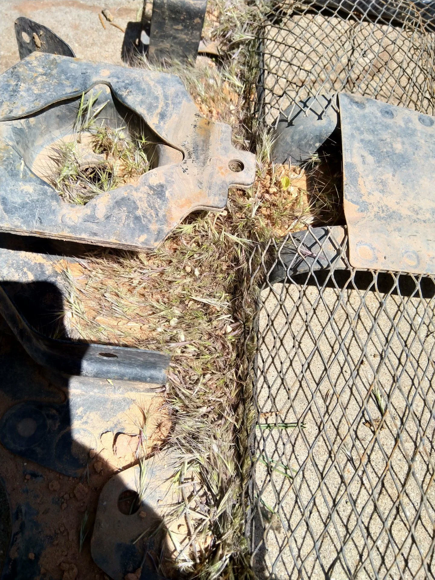 IMG_20190604_150756.webp