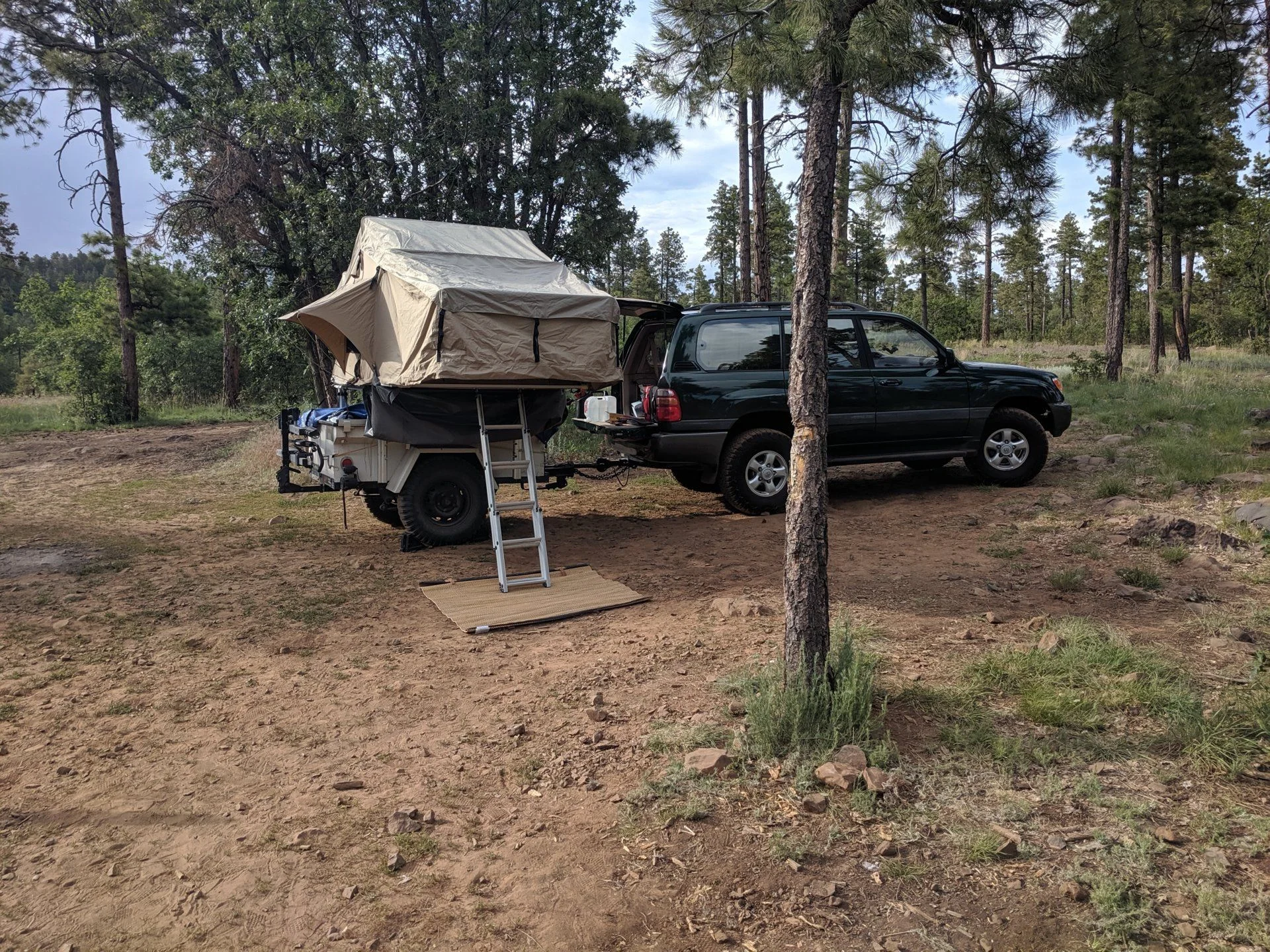 IMG_20190616_171917.webp