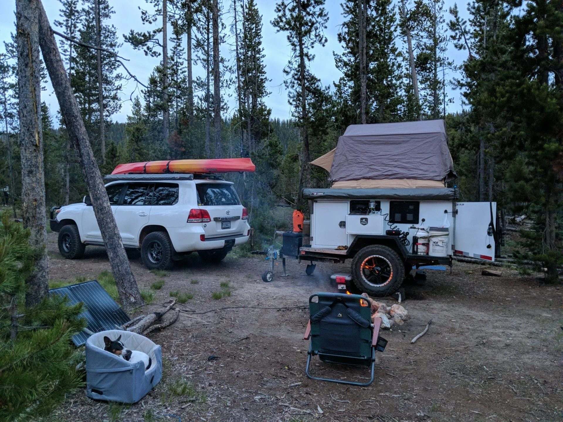IMG_20190622_213821_01.jpg