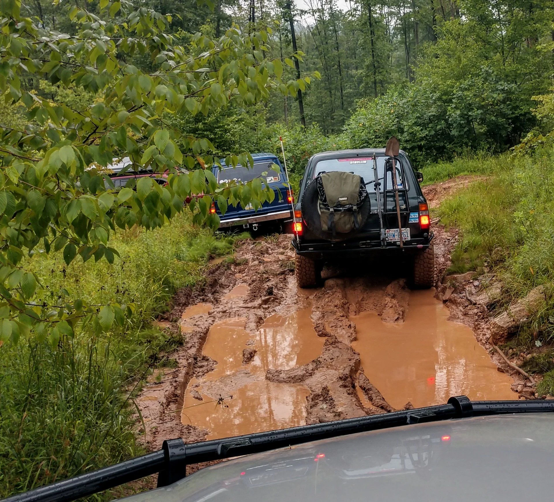 IMG_20190711_104501319_HDR.webp