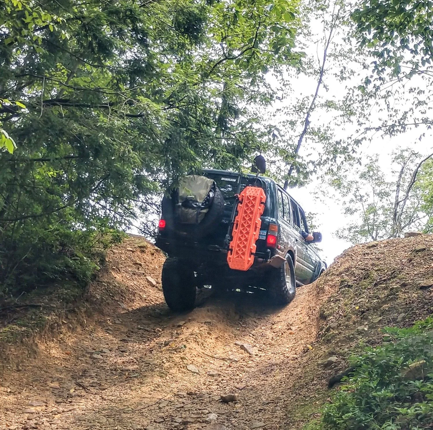 IMG_20190711_134626035_HDR.jpg