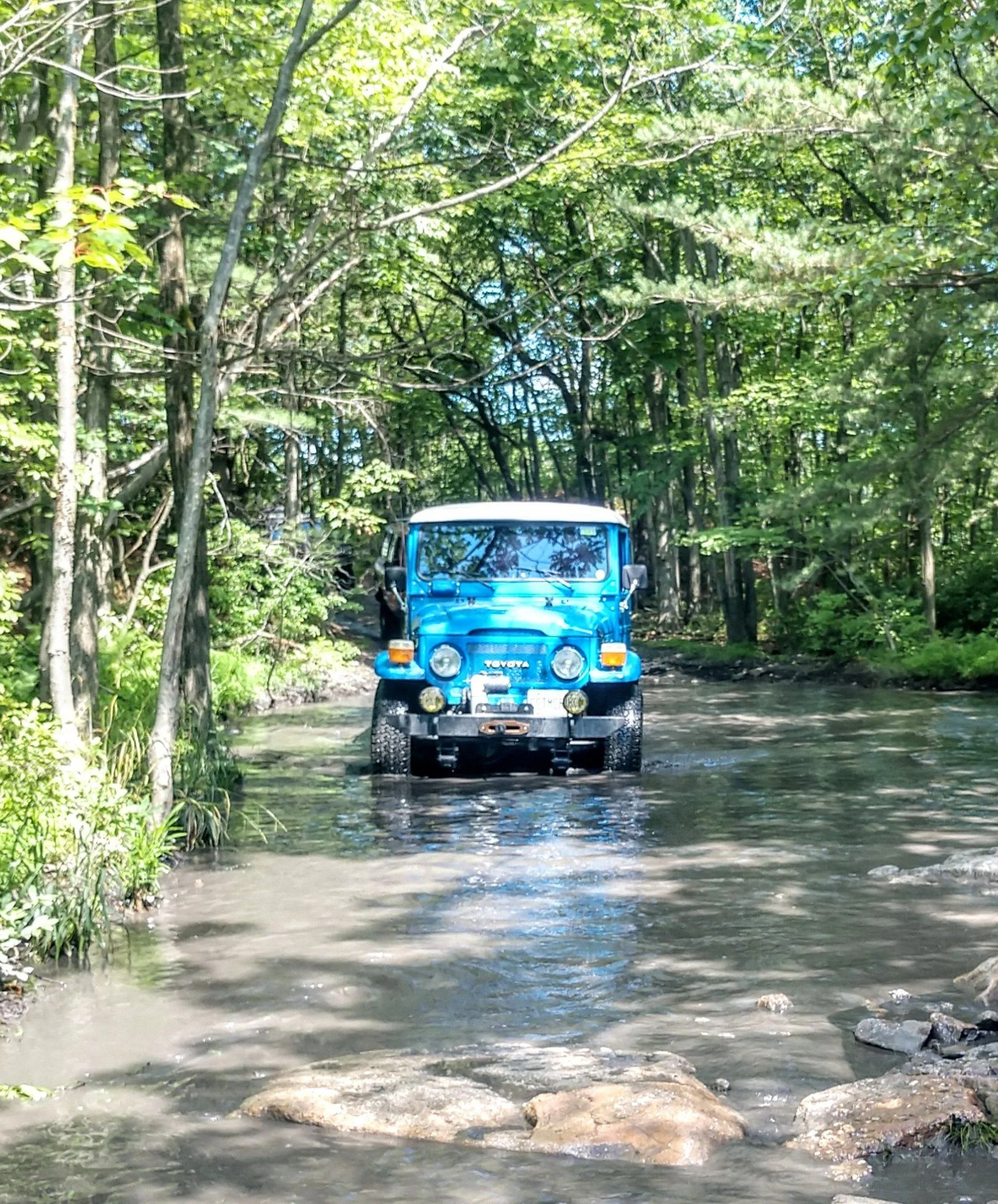 IMG_20190713_110008969_HDR.webp