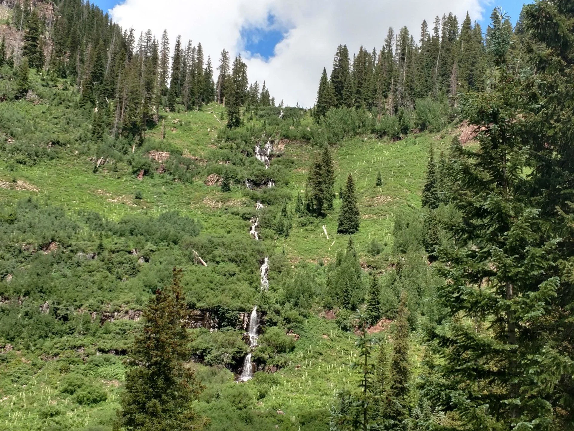 IMG_20190727_115101724_HDR.webp