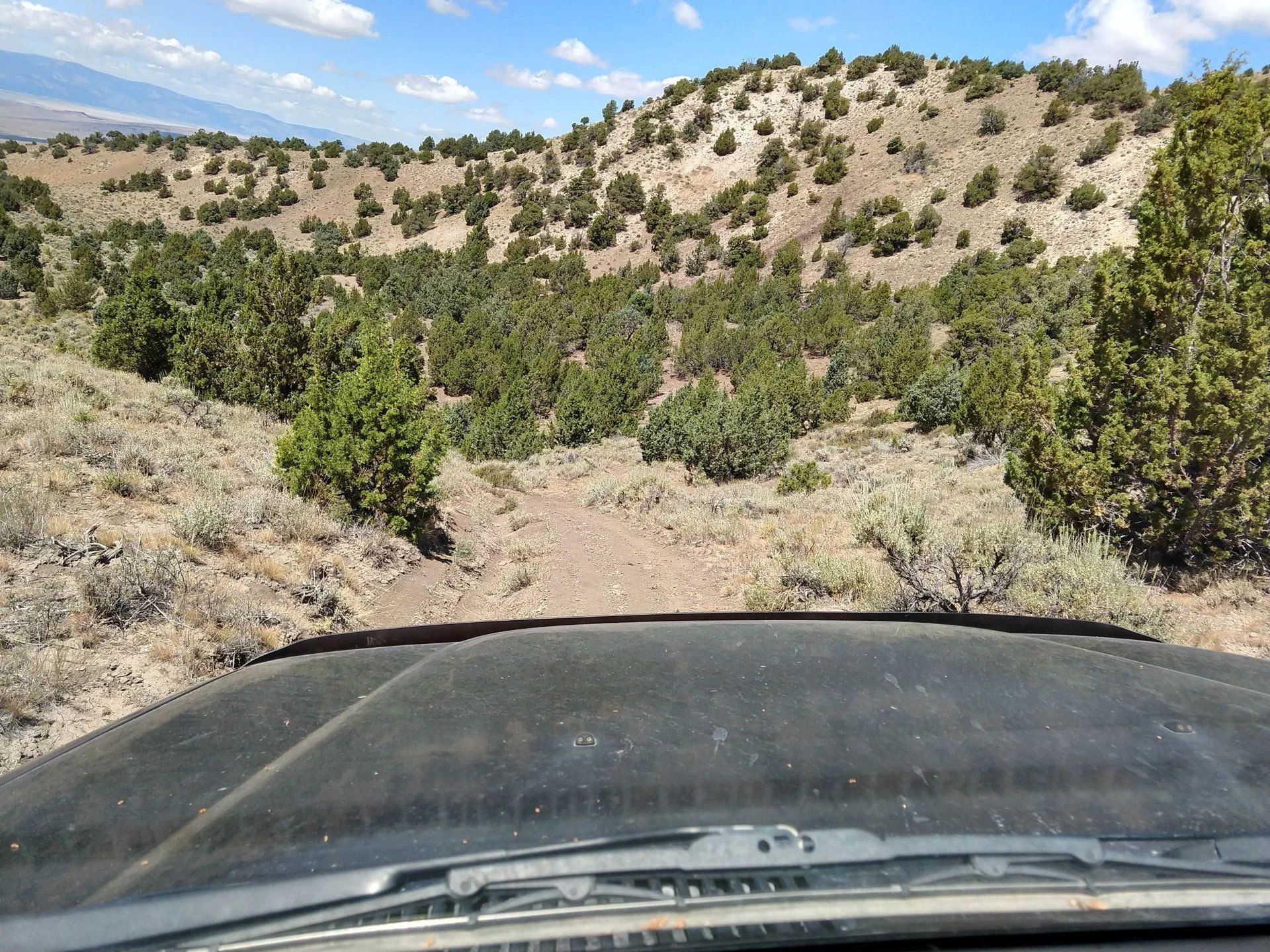 IMG_20190811_131340315_HDR.webp