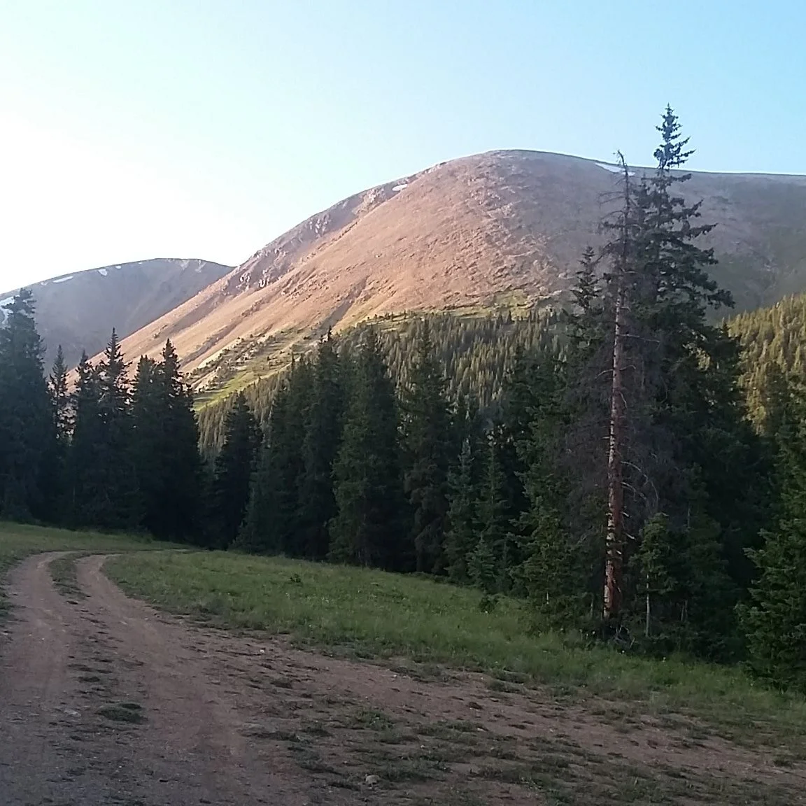 IMG_20190819_190638_495.webp
