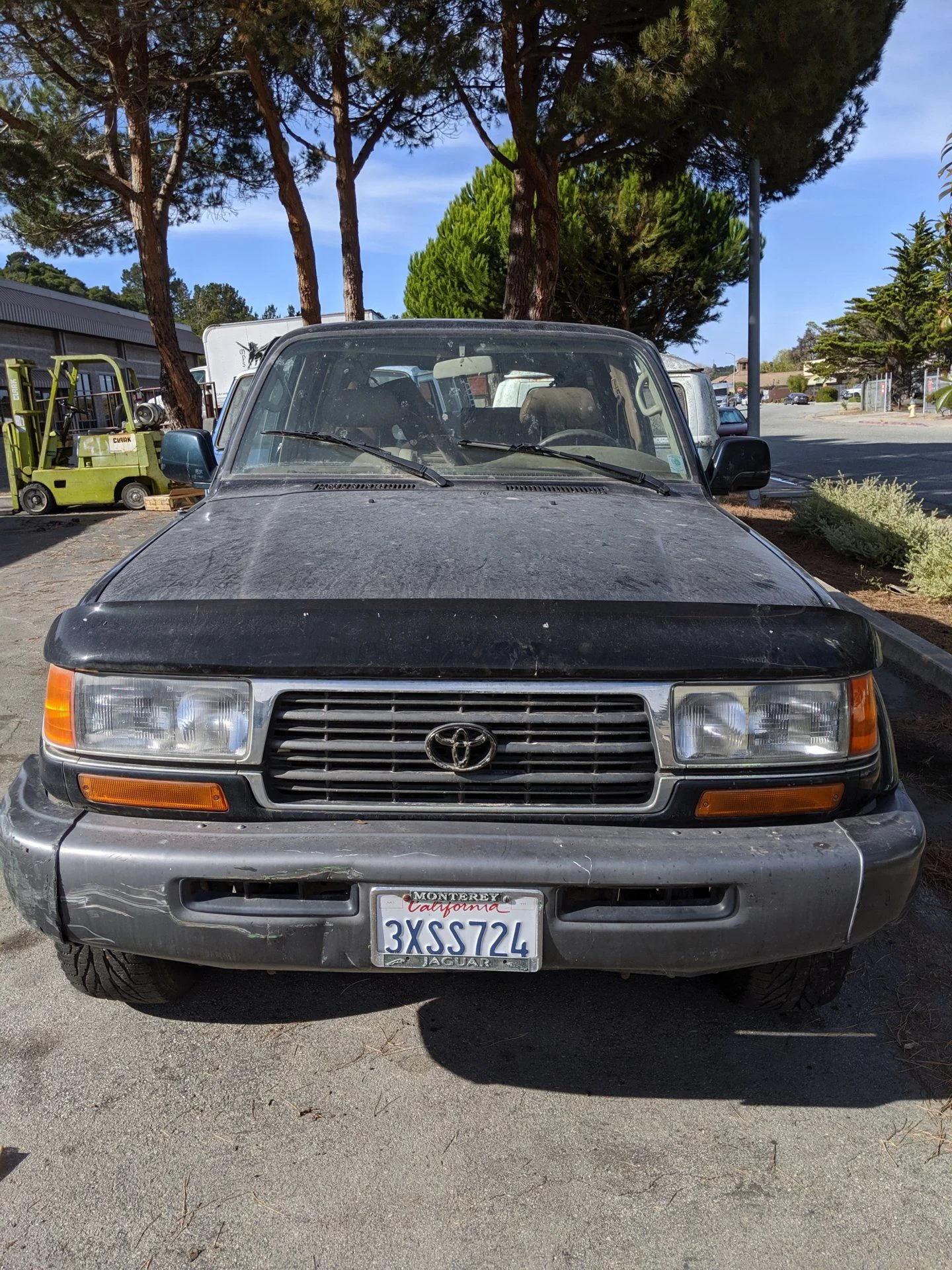 IMG_20191011_151628.webp