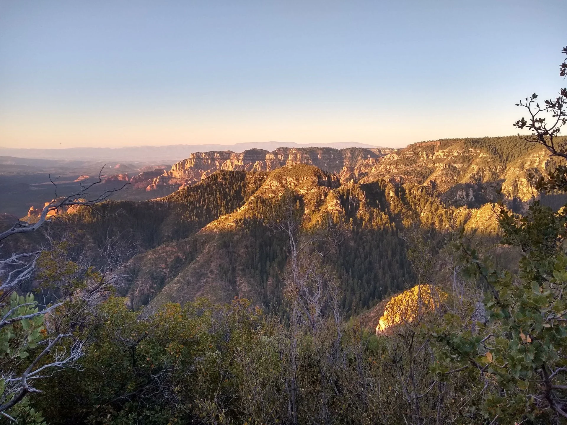 IMG_20191012_065628753_HDR.webp