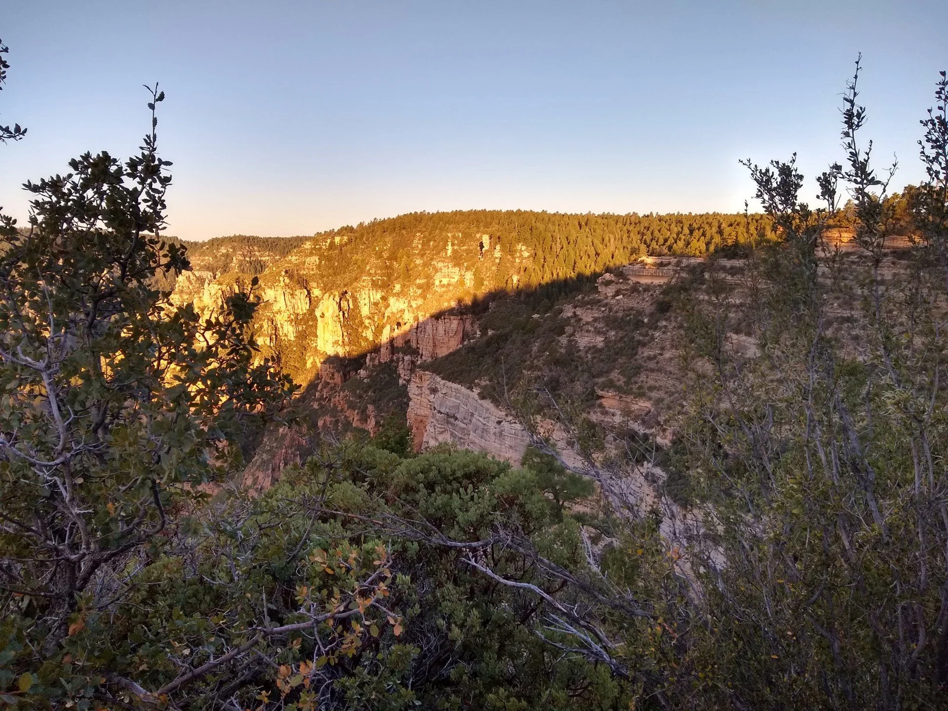 IMG_20191012_065632713_HDR.webp