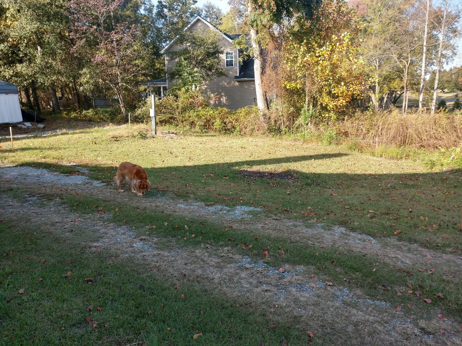 IMG_20191106_090906711_HDR.webp