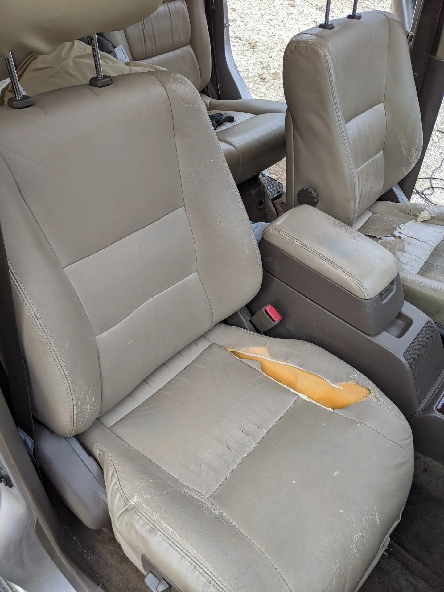 IMG_20191227_160229.webp