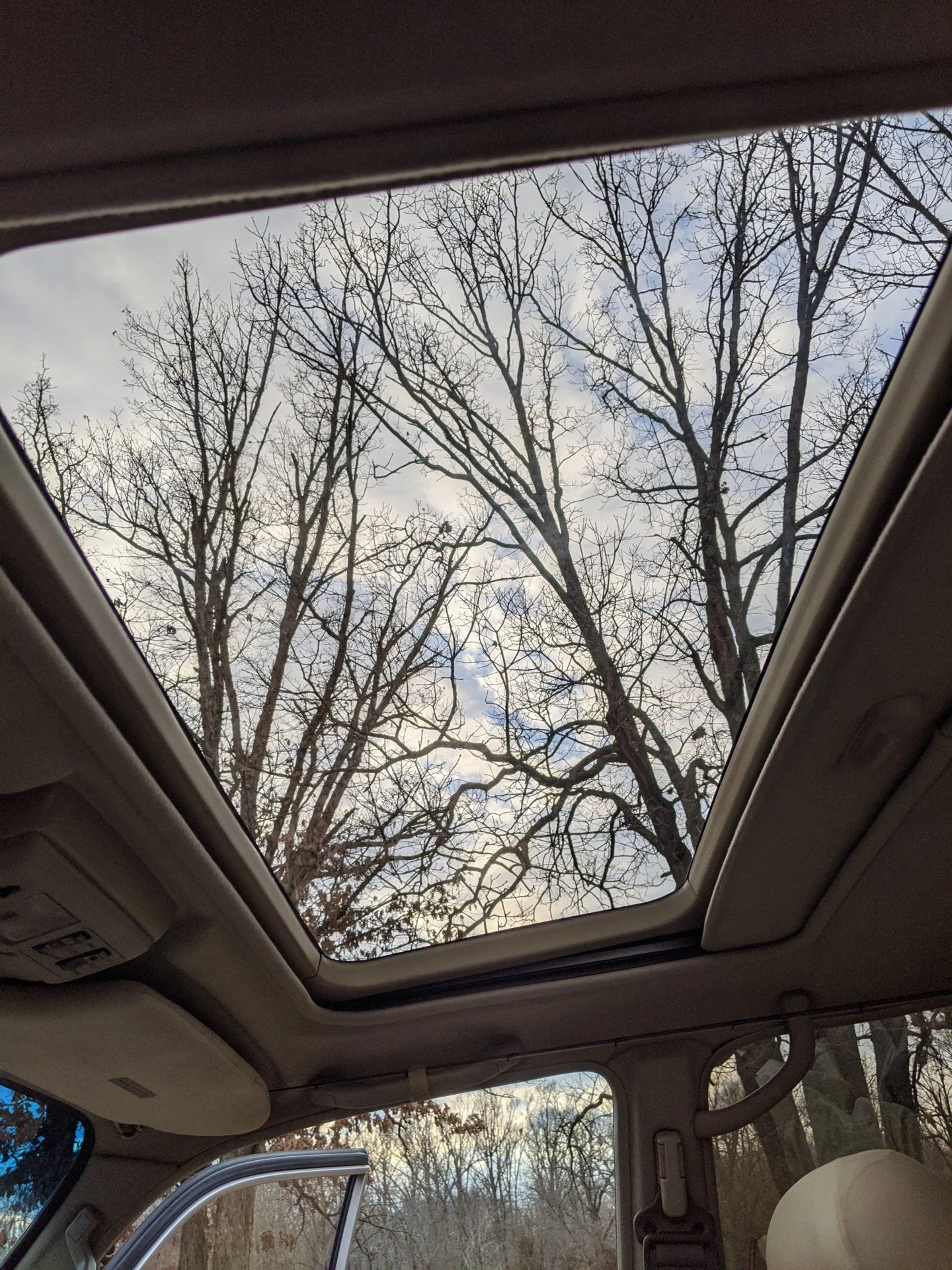 IMG_20191227_160302.webp