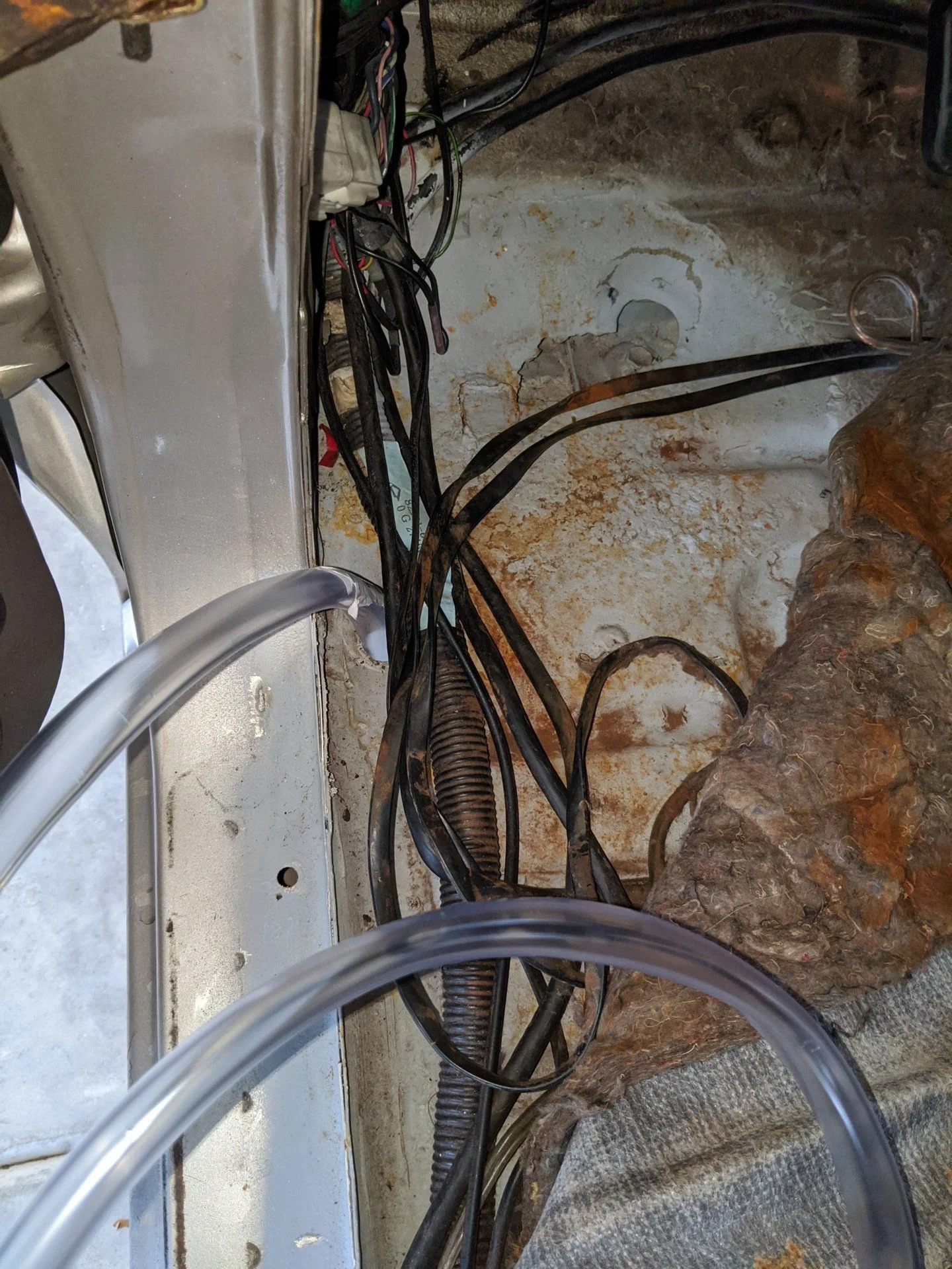 IMG_20200123_144043.webp