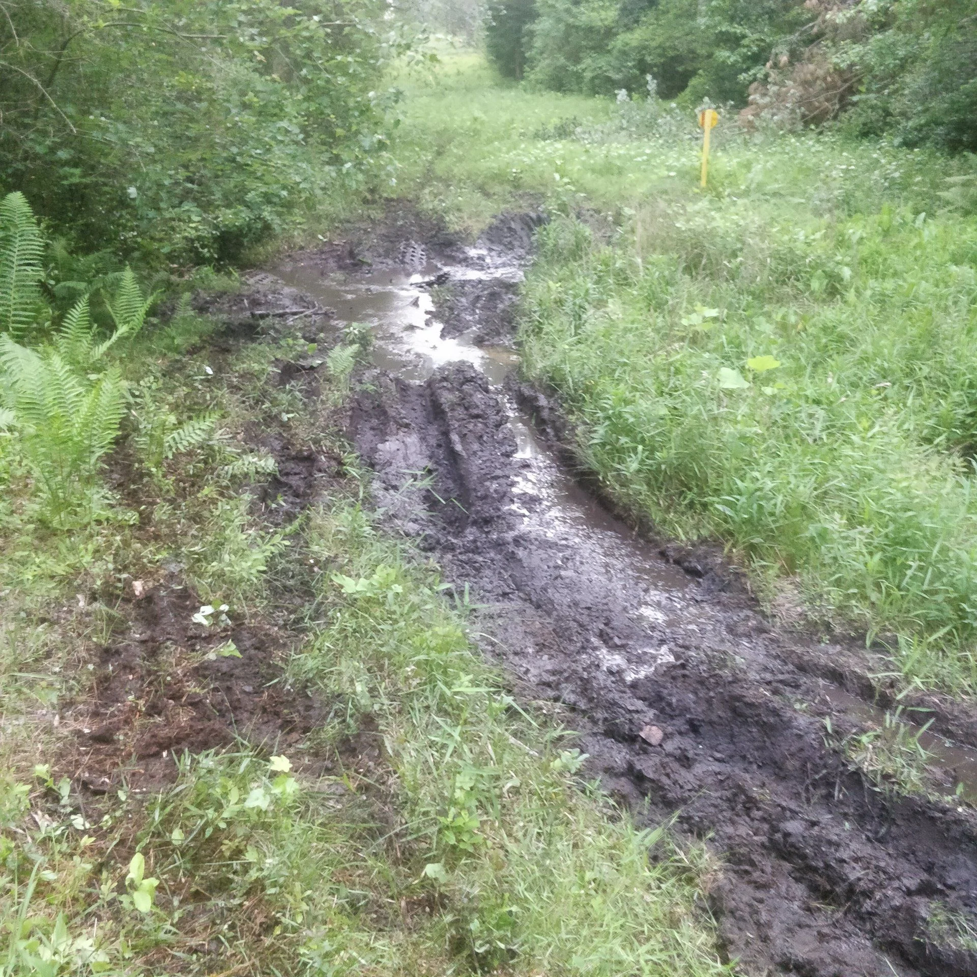 IMG_20200525_201131.webp