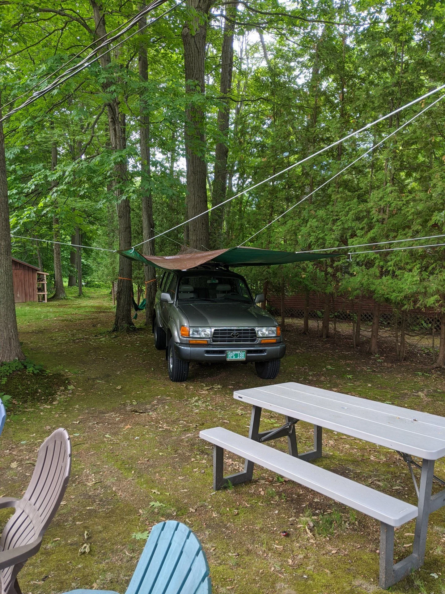IMG_20200613_080547.webp