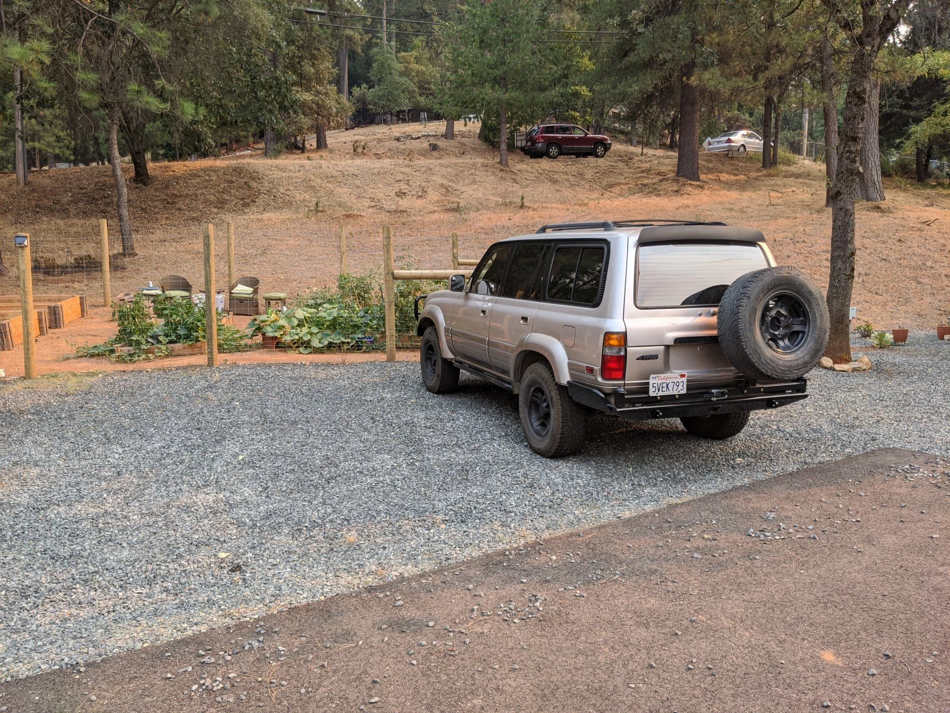 IMG_20200819_164343.webp