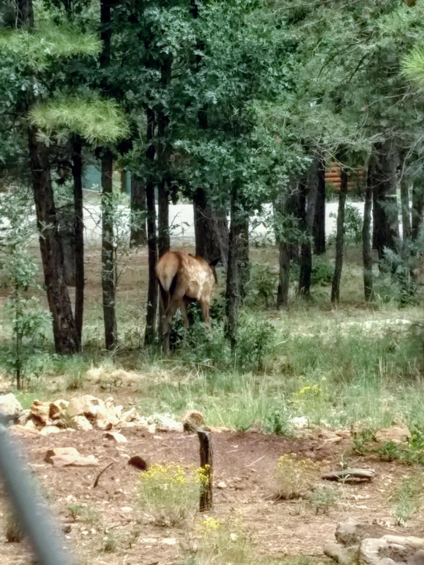 IMG_20200829_124820887_HDR.webp