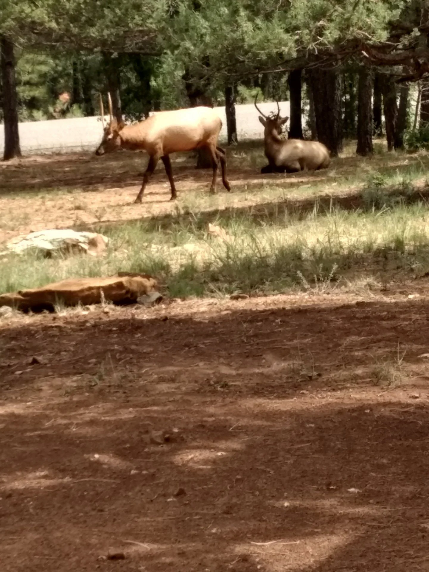 IMG_20200829_125744787_HDR.webp