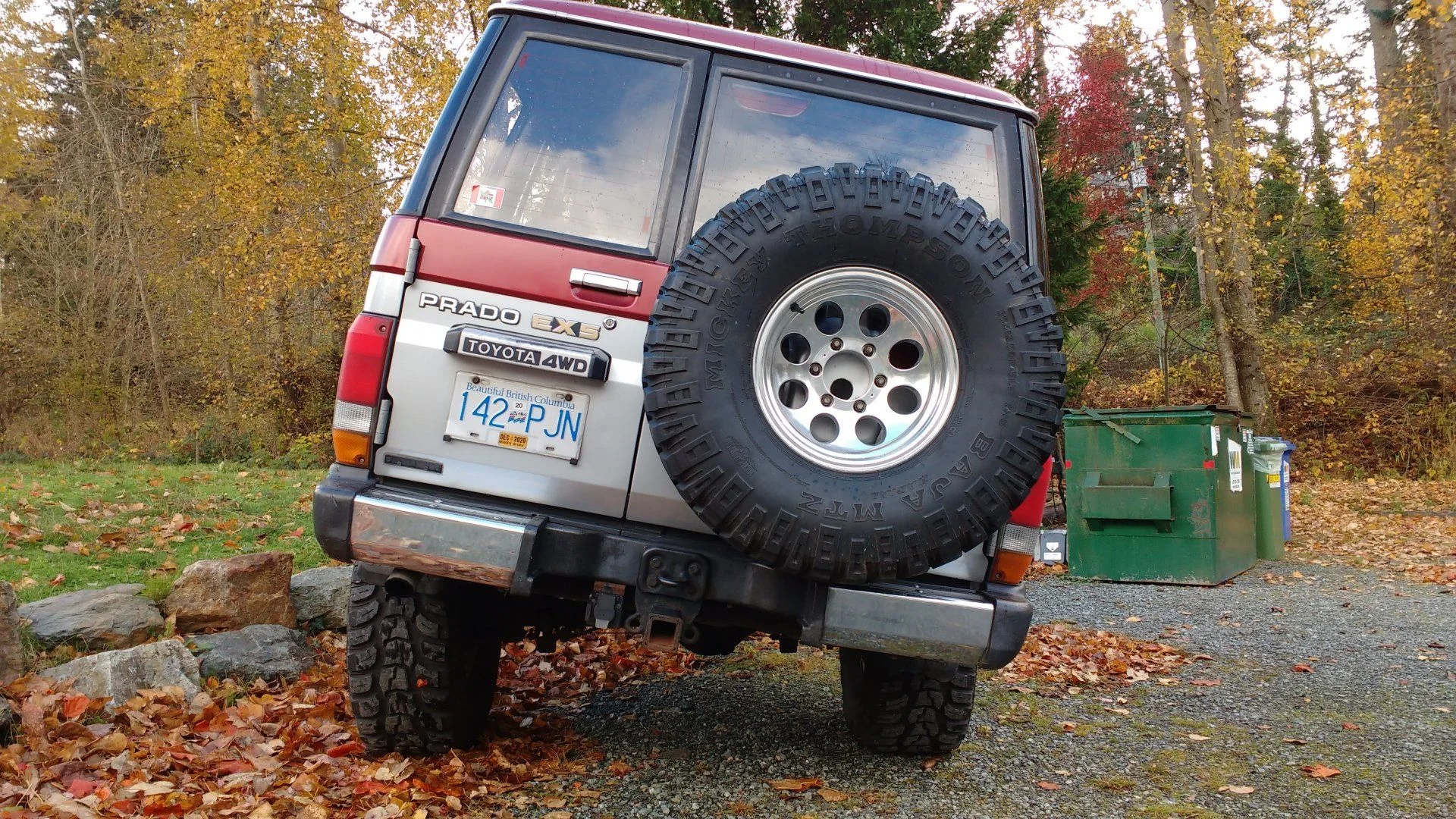 IMG_20201111_113738260.jpg