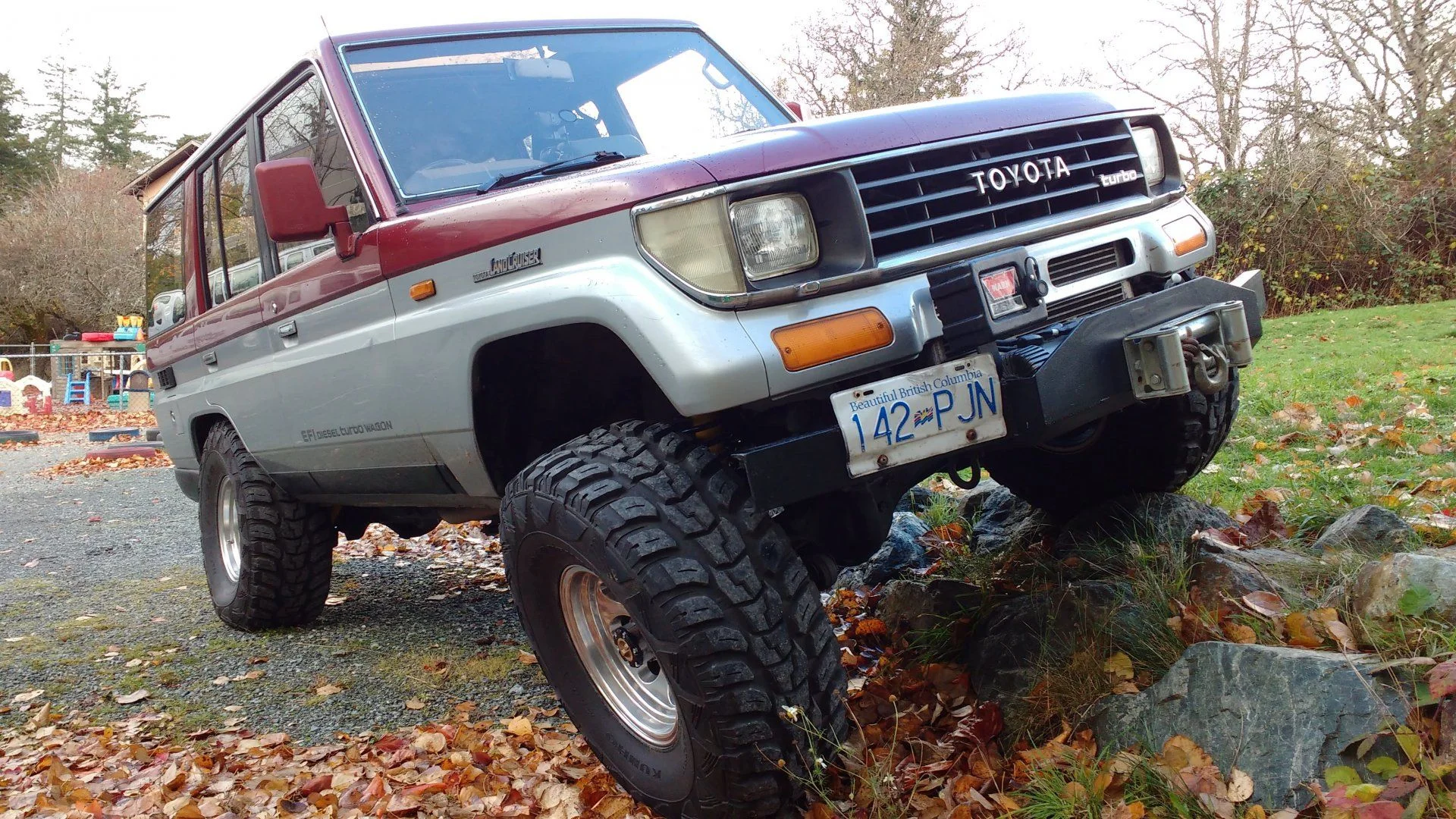 IMG_20201111_113833897.jpg
