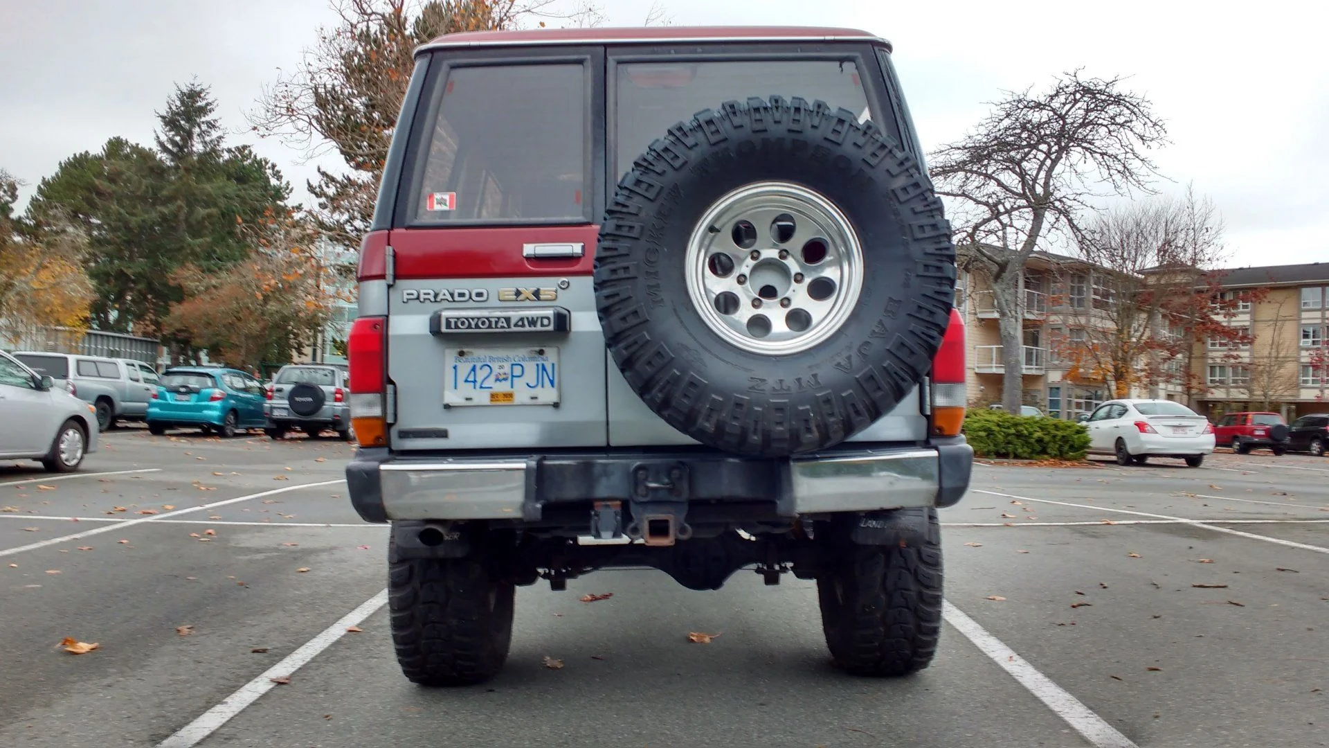 IMG_20201112_085539597_HDR.webp